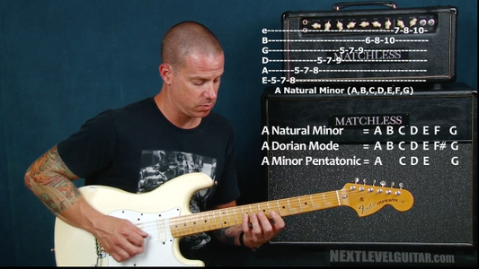 2-for-1 David Gilmour/Pink Floyd Inspired Course & Gary Moore Inspired Course