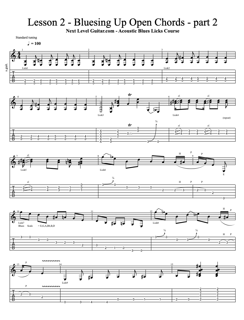 Acoustic Blues Licks & Approaches Course with Tab eBook and Jam Tracks
