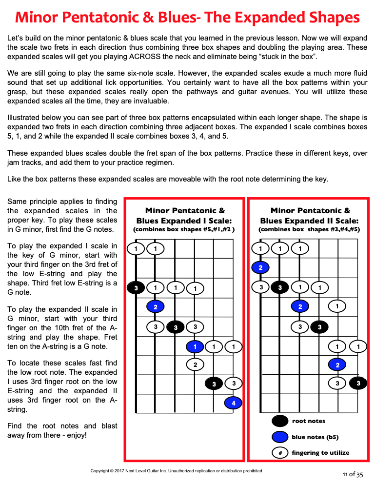 Acoustic Blues Licks & Approaches Course with Tab eBook and Jam Tracks