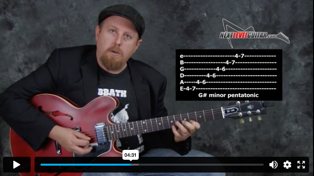 Classic Blues Licks & Rhythms Digital Course