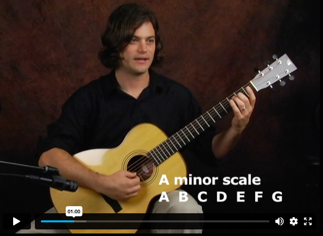 Beginner Fingerstyle Digital Guitar Course