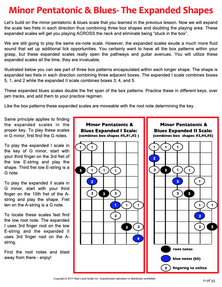 Acoustic Blues Licks & Approaches Course + BONUSES