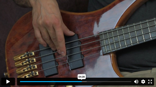 Epic Beginner Bass Mastery DIGITAL Course