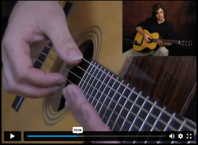 Beginner Fingerstyle Digital Guitar Course